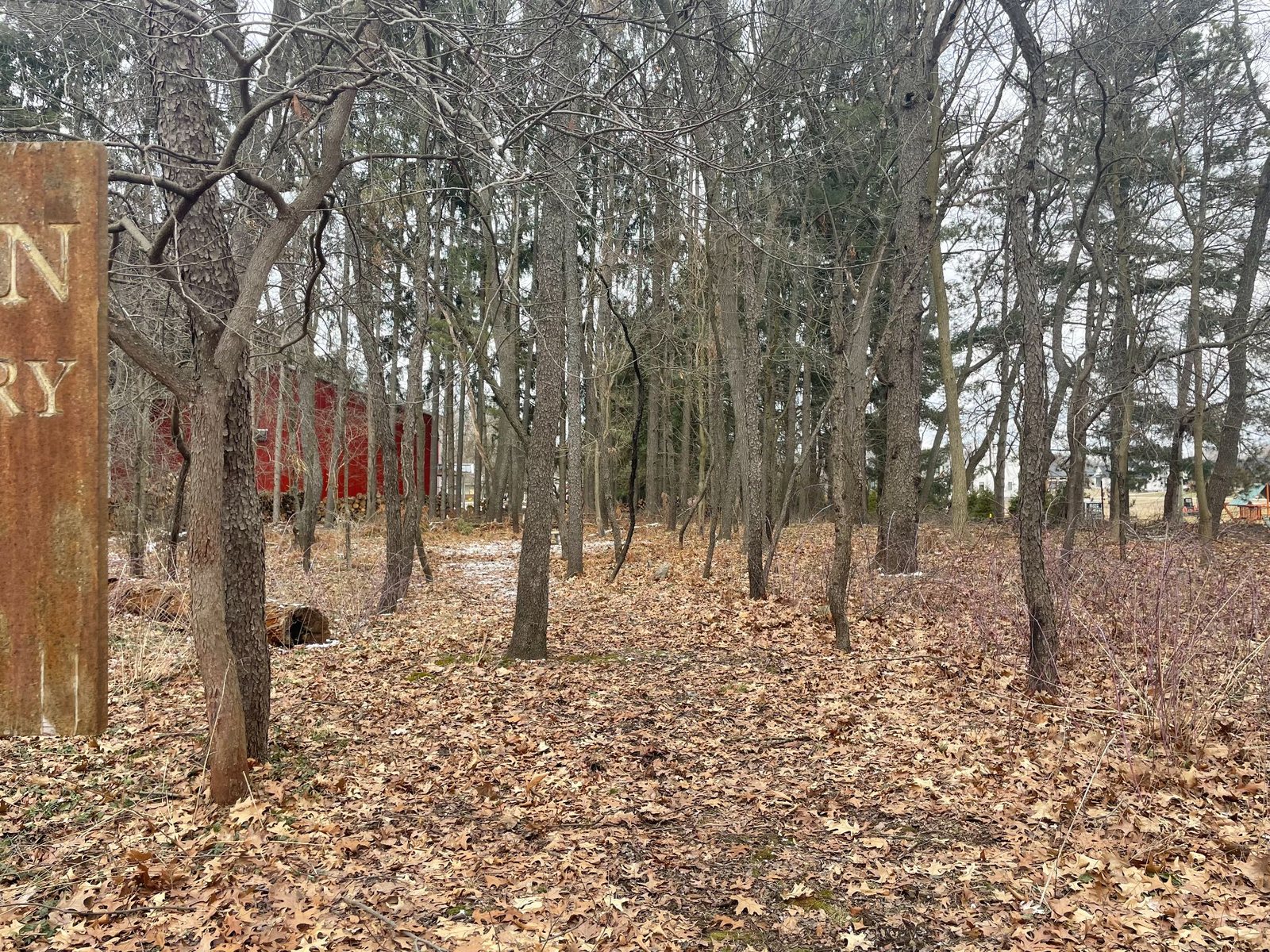 The existing trail through Popkins Cemetery before the restoration project